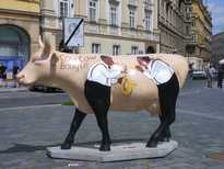 Cow Cow Boogie